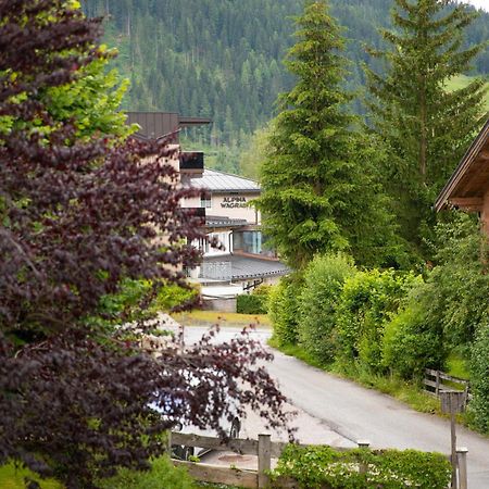 Pension Mozart Wagrain Exterior photo